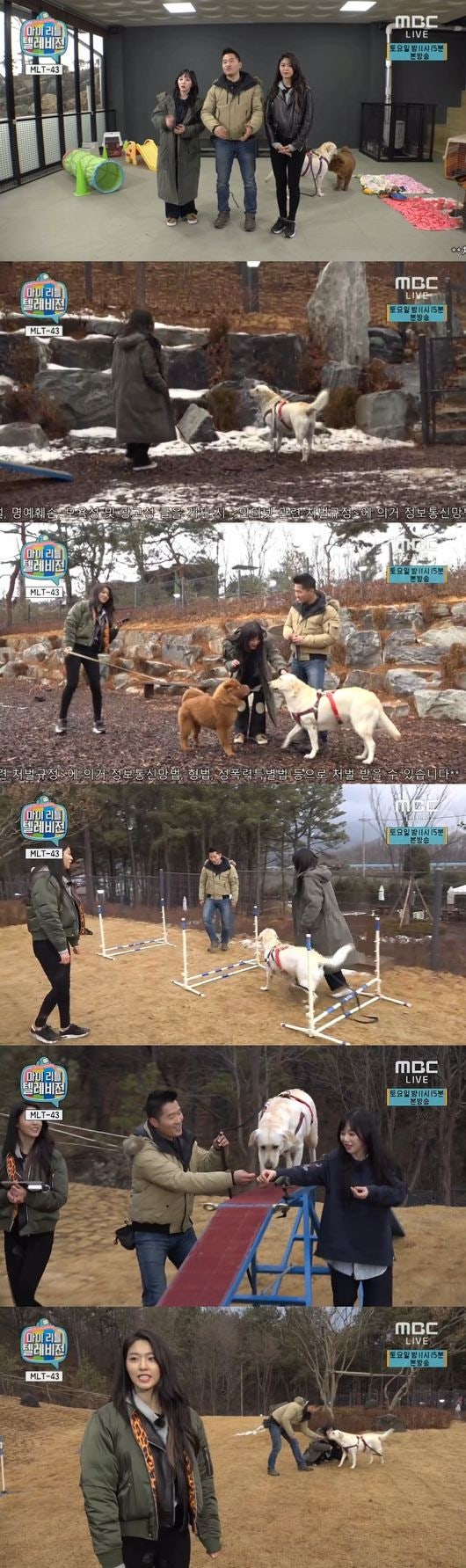 201702051636775740_5896e2ce2d627_99_2017