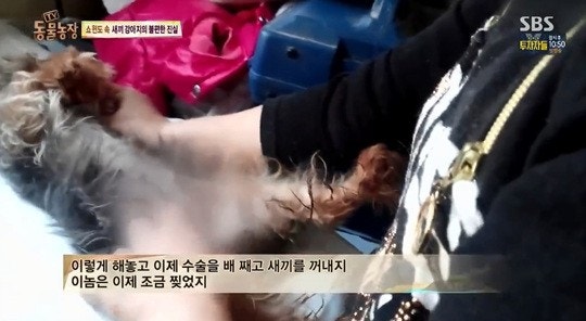 씨스타 효린, 지금까지중 가장 예쁜 모습 | 인스티즈