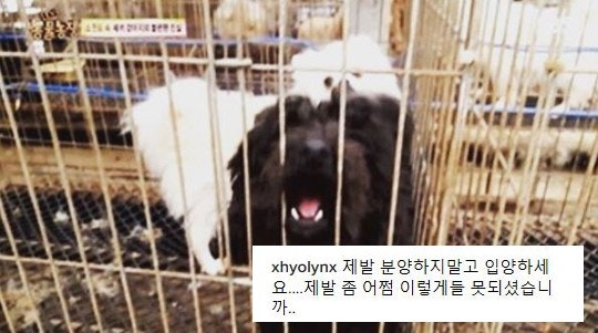 씨스타 효린, 지금까지중 가장 예쁜 모습 | 인스티즈