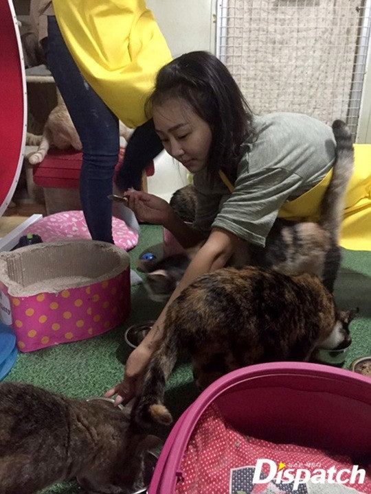 씨스타 효린, 지금까지중 가장 예쁜 모습 | 인스티즈