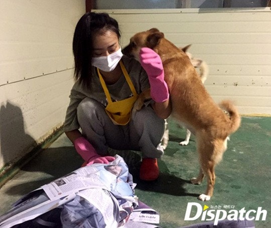 씨스타 효린, 지금까지중 가장 예쁜 모습 | 인스티즈
