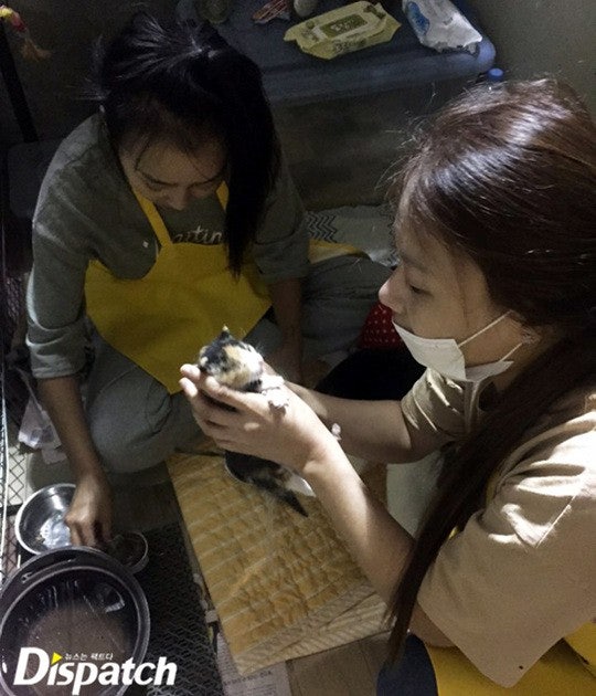 씨스타 효린, 지금까지중 가장 예쁜 모습 | 인스티즈