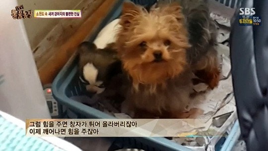 씨스타 효린, 지금까지중 가장 예쁜 모습 | 인스티즈
