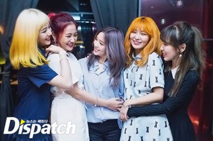 161859745_2.jpg?type=w430_q70