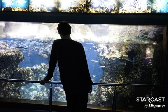 [스타캐스트] "변신이 천재다"…이민호, 스페인의 사기꾼 | 인스티즈