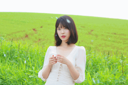 113012219__2.gif?type=w540