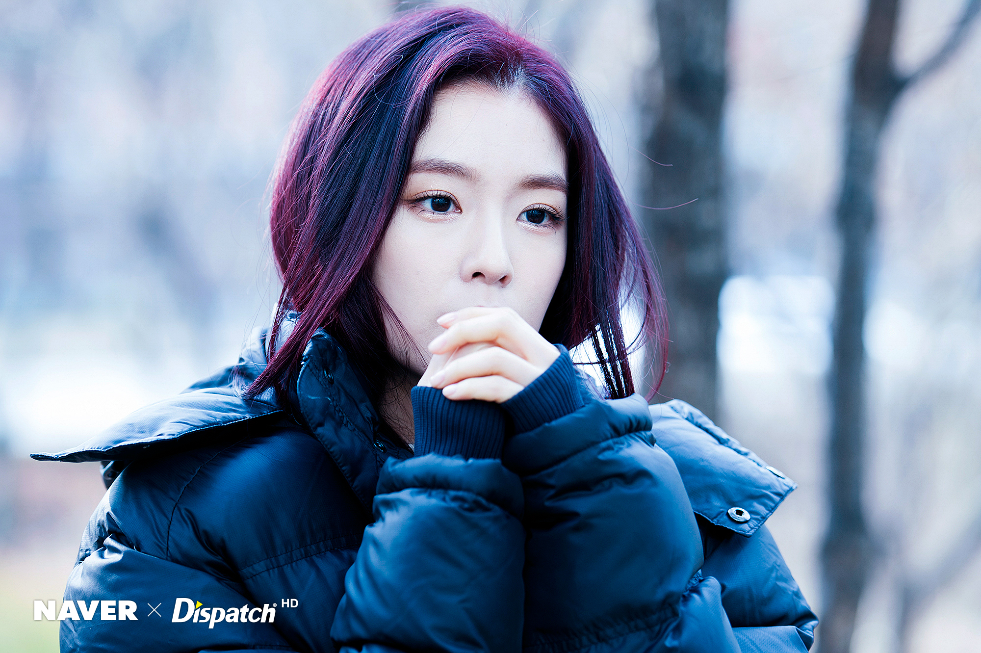 20161229145724_liv_4744_99_2016123010362