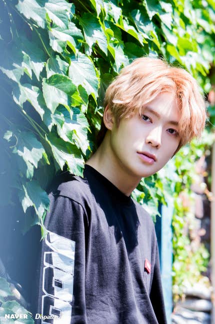 0000031731_001_20170615104045275.jpg?typ